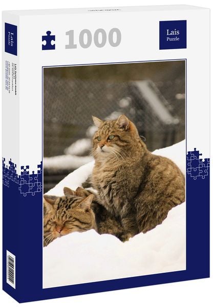 Lais Puzzle Wildkatzen 1000 Teile