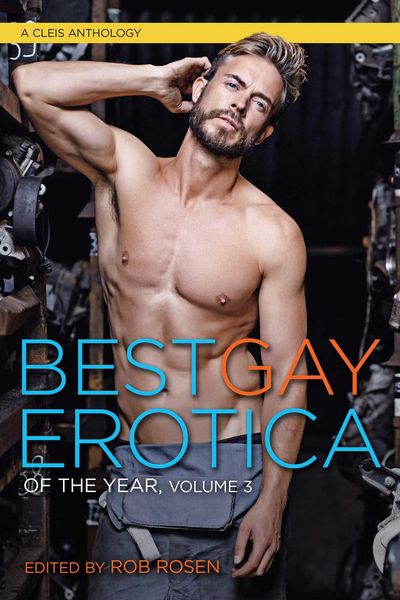 Produktbild: Best Gay Erotica of the Year, Volume 3