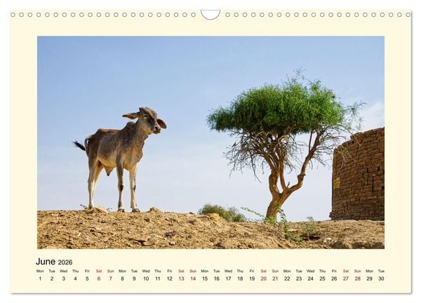 Produktbild: Great impressions of INDIA featuring awesome pictures (Wall Calendar 2026 DIN A3 landscape), CALVENDO 12 Month Wall Calendar