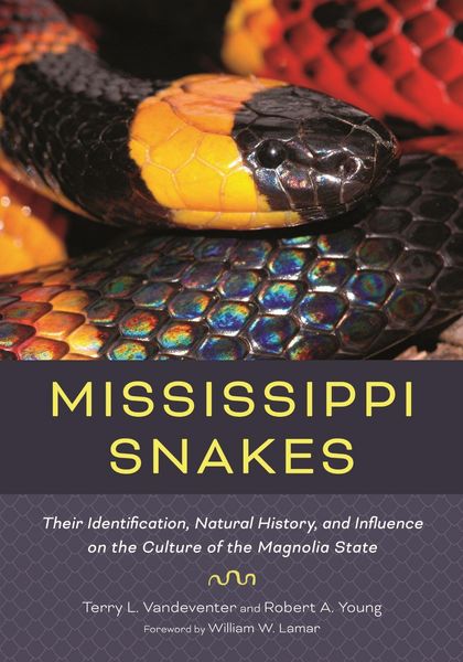 Produktbild: Mississippi Snakes
