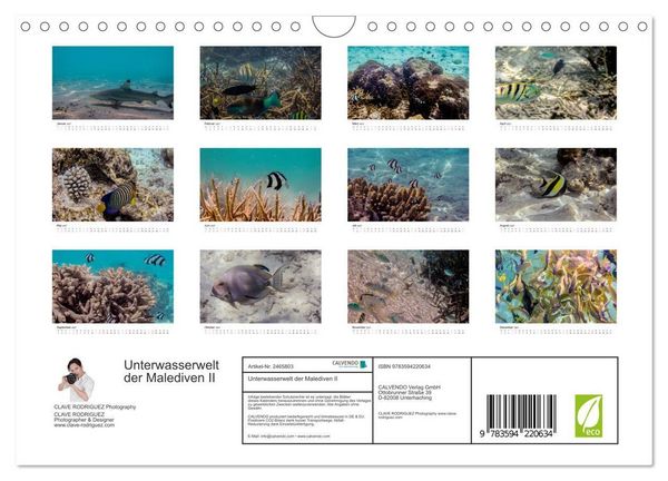 Produktbild: Unterwasserwelt der Malediven II (Wandkalender 2027 DIN A4 quer), CALVENDO Monatskalender