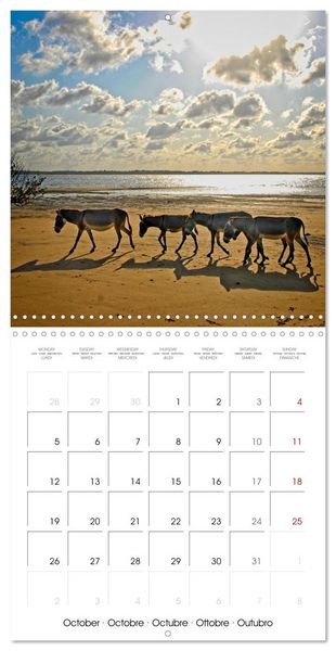 Produktbild: Destination Lamu (Wall Calendar 2026 12 &times; 12 Inch) CALVENDO 12 Month Wall Calendar