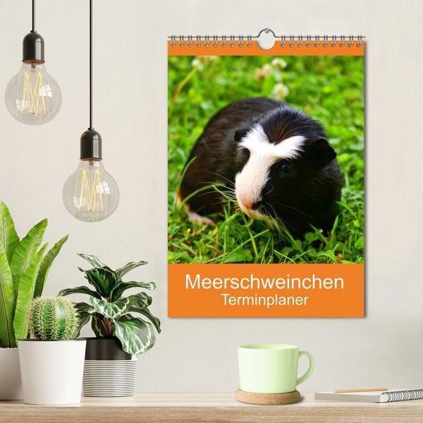 Produktbild: Meerschweinchen Terminplaner (Wandkalender 2026 DIN A4 hoch), CALVENDO Monatskalender