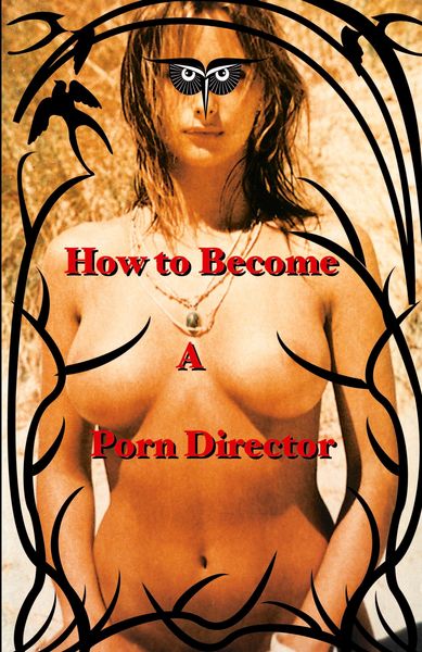 Produktbild: How to Become a Porn Director