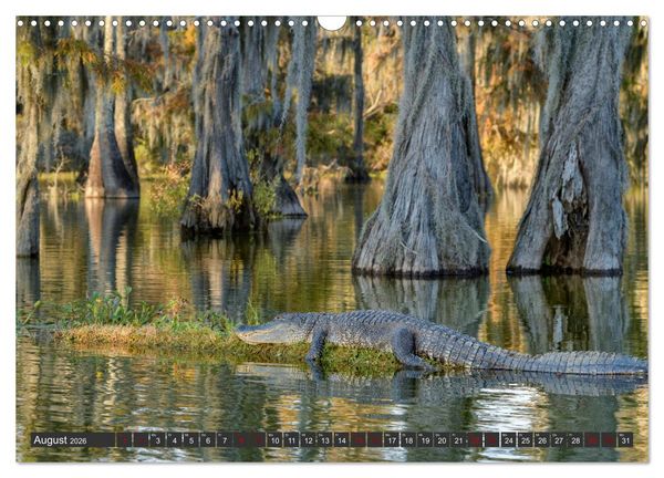 Produktbild: Natur Paradies Mississippi Delta (Wandkalender 2026 DIN A3 quer), CALVENDO Monatskalender