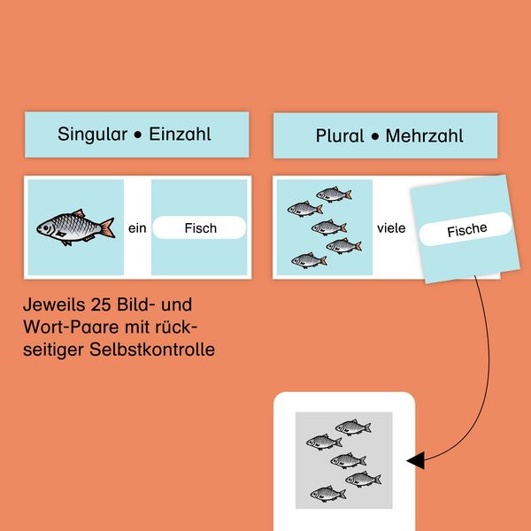 Produktbild: Meine Grammatikdose 1 und 2 - Singular-Plural - Einfache und schwierige W&ouml;rter