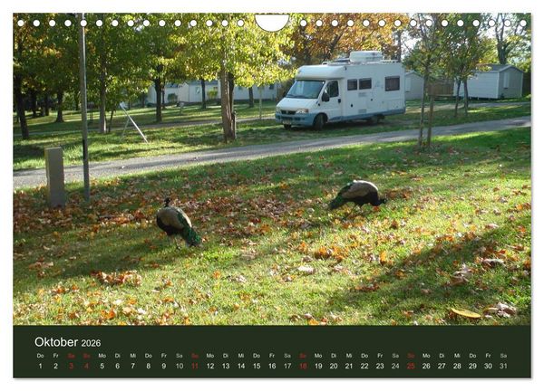 Produktbild: Wohnmobil-Reisen (Wandkalender 2026 DIN A4 quer), CALVENDO Monatskalender