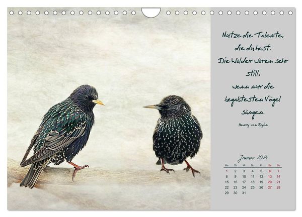 'Kalendersprüche (Wandkalender 2024 DIN A4 quer), CALVENDO