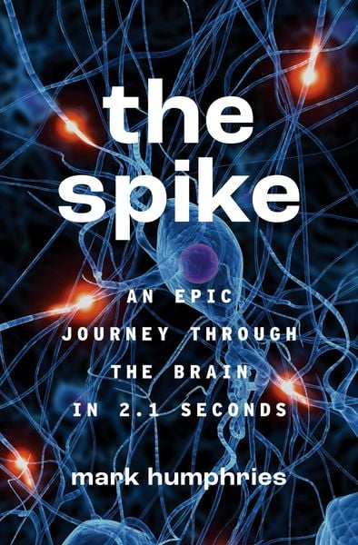 Produktbild: The Spike