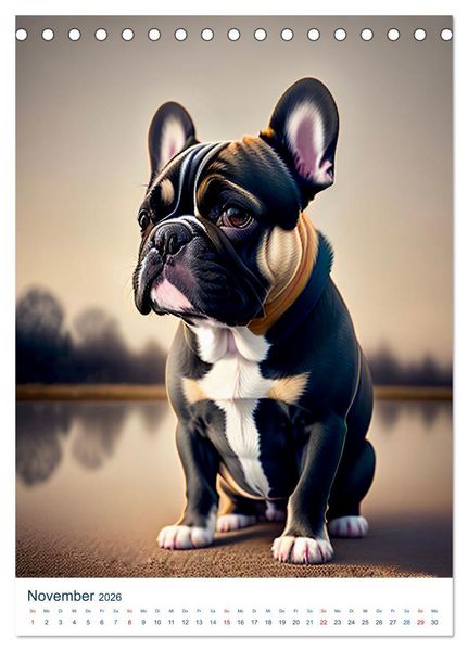 Produktbild: Franz&ouml;sische Bulldoggen. Kunstvoll gestaltete Portraits (Tischkalender 2026 DIN A5 hoch), CALVENDO Monatskalender