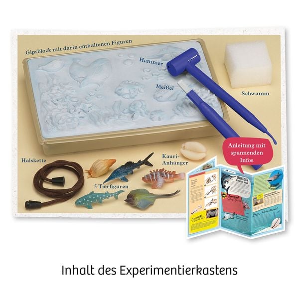 Produktbild: Meeres-Abenteuer