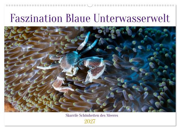 Produktbild: Faszination blaue Unterwasserwelt (Wandkalender 2027 DIN A2 quer), CALVENDO Monatskalender