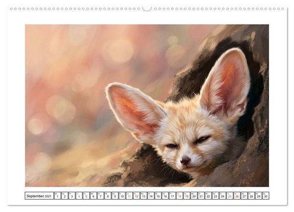 Produktbild: Fenneks - Neugierige Momente in der W&uuml;ste (hochwertiger Premium Wandkalender 2027 DIN A2 quer), Kunstdruck in Hochglanz
