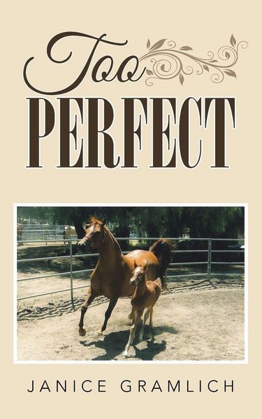 Produktbild: Too Perfect