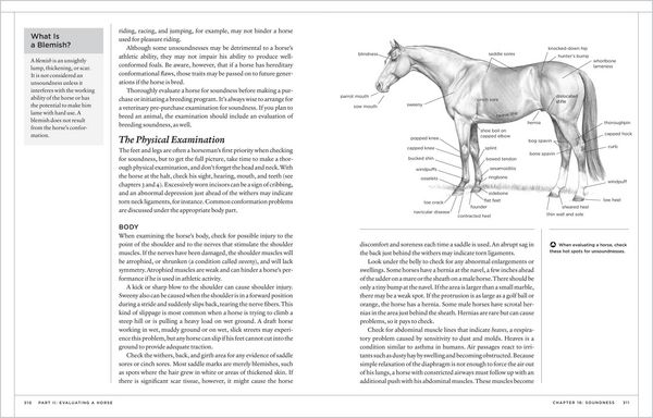 Produktbild: The Horse Conformation Handbook