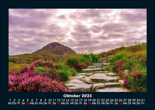 Produktbild: Blumenkalender 2025 Fotokalender DIN A5