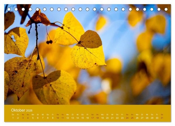 Produktbild: Farbwechsel - Die Farben der vier Jahreszeiten (Tischkalender 2026 DIN A5 quer), CALVENDO Monatskalender