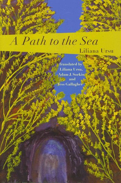 Produktbild: A Path to the Sea