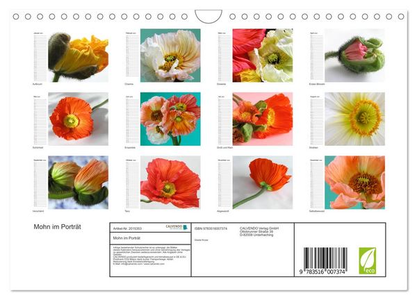 Produktbild: Mohn im Portr&auml;t (Wandkalender 2026 DIN A4 quer), CALVENDO Monatskalender