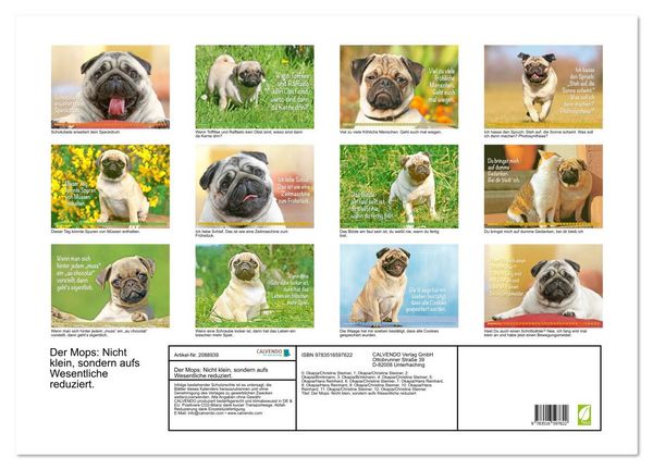 Produktbild: Der Mops: Nicht klein, sondern aufs Wesentliche reduziert. (Wandkalender 2026 DIN A2 quer), CALVENDO Monatskalender