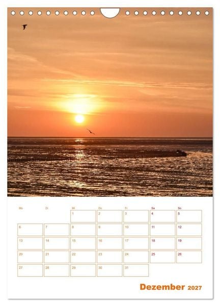Produktbild: Texel - Momente die verzaubern (Wandkalender 2027 DIN A4 hoch), CALVENDO Monatskalender