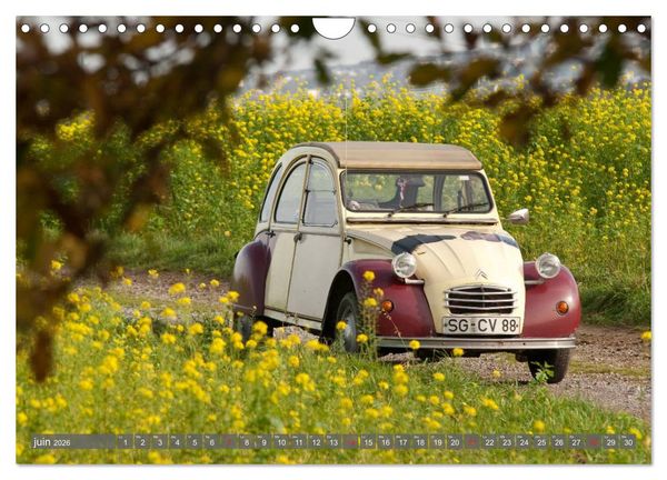 Produktbild: La deudeuche une voiture culte (Calendrier mural 2026 DIN A4 vertical), CALVENDO calendrier mensuel