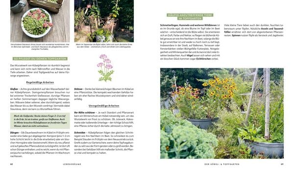 Produktbild: Mein wilder, bunter Garten &ndash;&nbsp;Einfach naturnah g&auml;rtnern