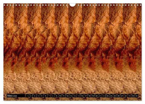 Produktbild: Magische Bilder - Stereogramme und 3D-Illusionen (Wandkalender 2026 DIN A3 quer), CALVENDO Monatskalender