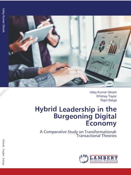 Produktbild: Hybrid Leadership in the Burgeoning Digital Economy (1, #1)
