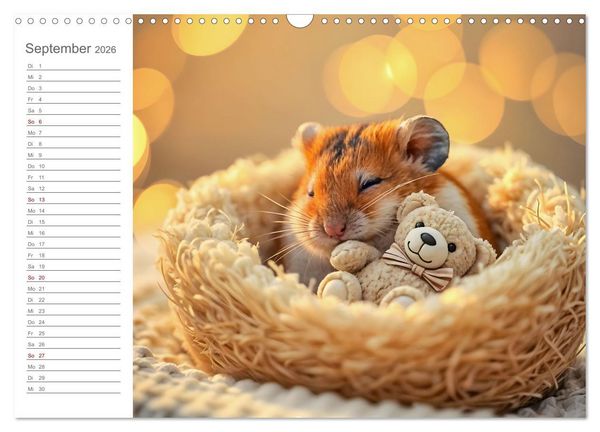 Produktbild: Spielzeit mit Schnuffel - Ein Hamster im Spielzeugparadies (Wandkalender 2026 DIN A3 quer), CALVENDO Monatskalender