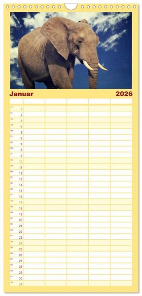 Produktbild: Familienplaner 2026 - Elefanten - Portraits der besonderen Art mit 5 Spalten (Wandkalender, 21 x 45 cm) CALVENDO