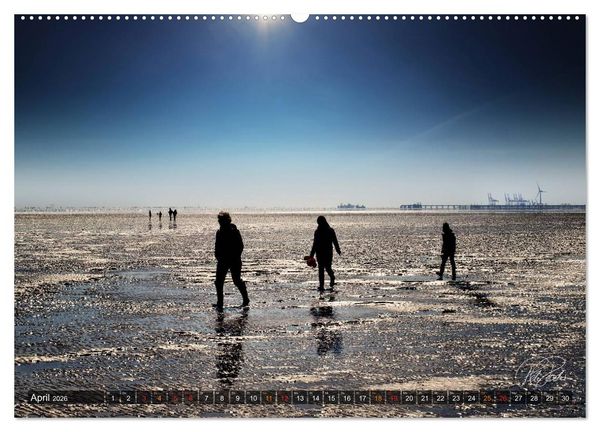Produktbild: Friesland - Watt und Nordsee / CH-Version (Wandkalender 2026 DIN A2 quer), CALVENDO Monatskalender