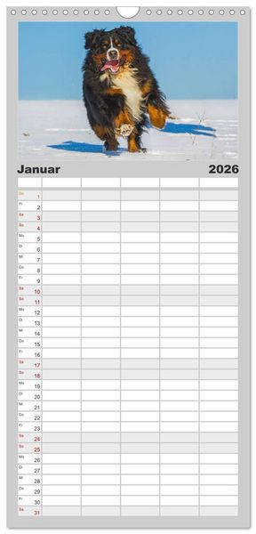Produktbild: Familienplaner 2026 - Schweizer Sennenhunde - aus den Schweizer Alpen mit 5 Spalten (Wandkalender, 21 x 45 cm) CALVENDO