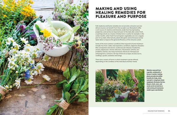 Produktbild: Plants That Heal Hb