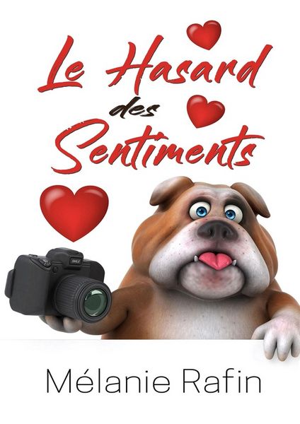 Produktbild: Le hasard des sentiments
