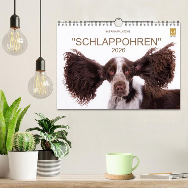 Produktbild: SCHLAPPOHREN (Wandkalender 2026 DIN A4 quer), CALVENDO Monatskalender