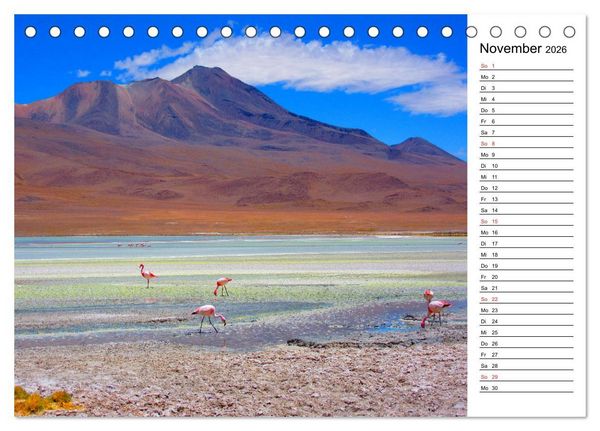 Produktbild: Mein Flamingo Planer (Tischkalender 2026 DIN A5 quer), CALVENDO Monatskalender