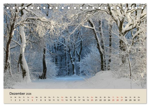 Produktbild: Der Wald. Durch zauberhafte Waldlandschaften (Tischkalender 2026 DIN A5 quer), CALVENDO Monatskalender