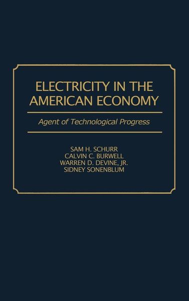 Produktbild: Electricity in the American Economy