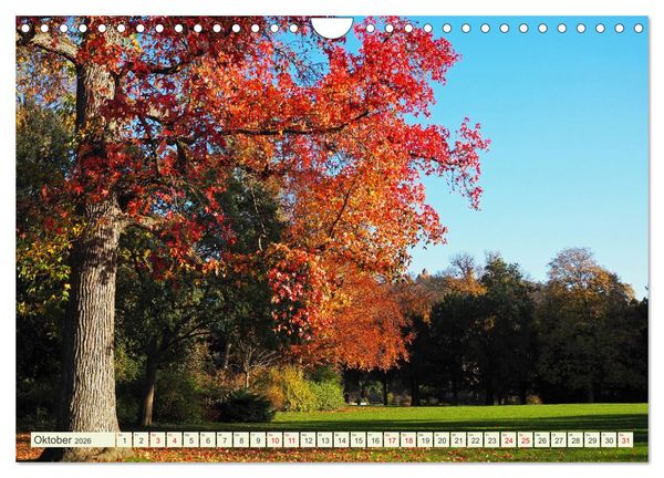 Produktbild: Weinheim erleben Schlosspark, Burgen und einladender Marktplatz (Wandkalender 2026 DIN A4 quer), CALVENDO Monatskalender
