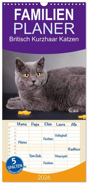 Produktbild: Familienplaner 2026 - Britisch Kurzhaar Katzen mit 5 Spalten (Wandkalender, 21 x 45 cm) CALVENDO