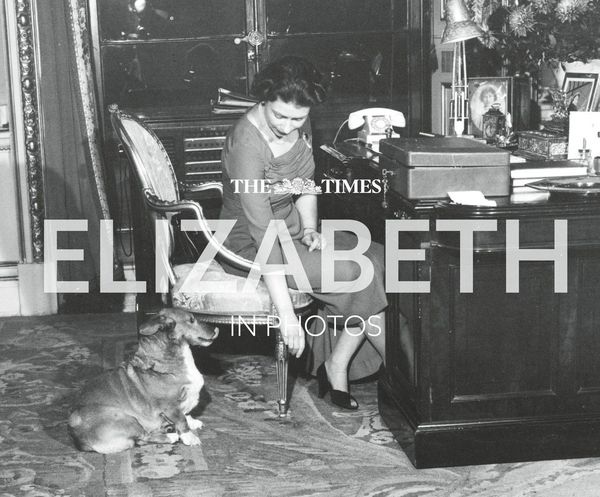 Produktbild: The Times Elizabeth in Photos