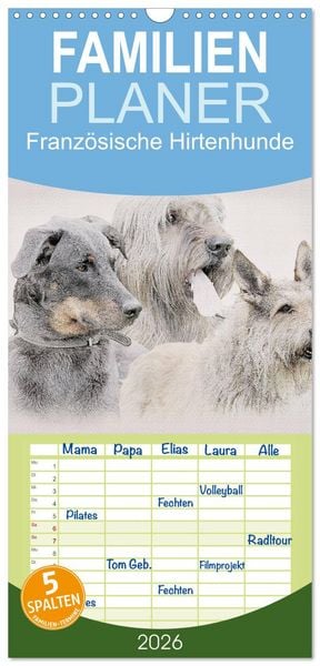 Familienplaner 2026 - Französische Hirtenhunde 2026 mit 5 Spalten (Wandkalender, 21 x 45 cm) CALVENDO