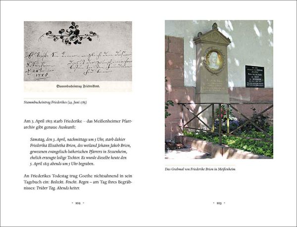 Produktbild: Goethe und Friederike