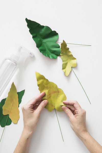 Produktbild: Zimmerpflanzen aus der Papierwerkstatt