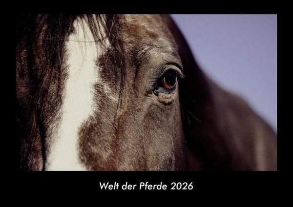 Produktbild: Welt der Pferde 2026 Fotokalender DIN A3