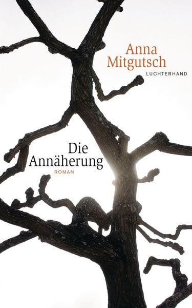 Produktbild: Die Ann&auml;herung