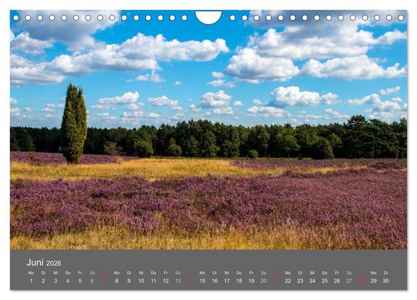 Produktbild: Moor- und Heidelandschaften Niedersachsen (Wandkalender 2026 DIN A4 quer), CALVENDO Monatskalender