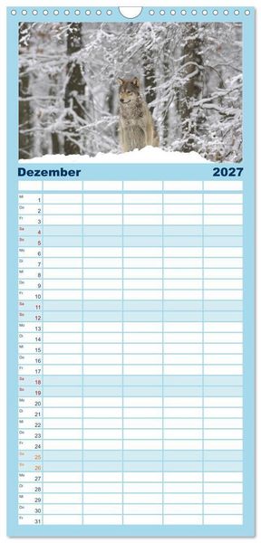 Produktbild: Familienplaner 2027 - Kanadische W&ouml;lfe im Winter mit 5 Spalten (Wandkalender, 21 x 45 cm) CALVENDO