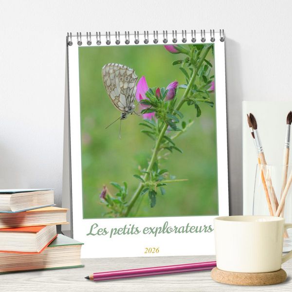 Produktbild: Les petits explorateurs (Calendrier de bureau 2026 DIN A5 horizontal), CALVENDO calendrier mensuel